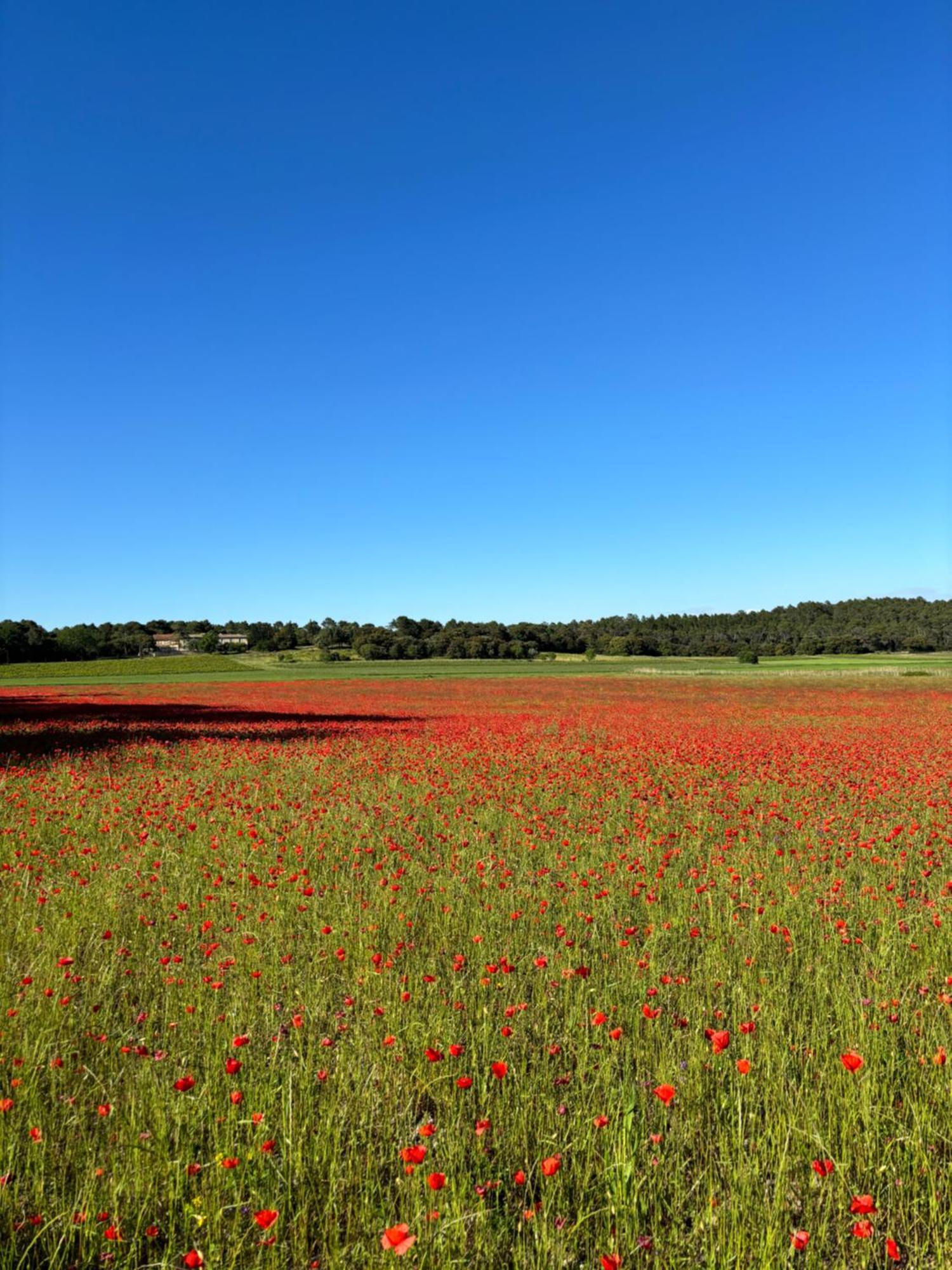 Domaine Du Commandeur Bed & Breakfast Mondragon Bagian luar foto